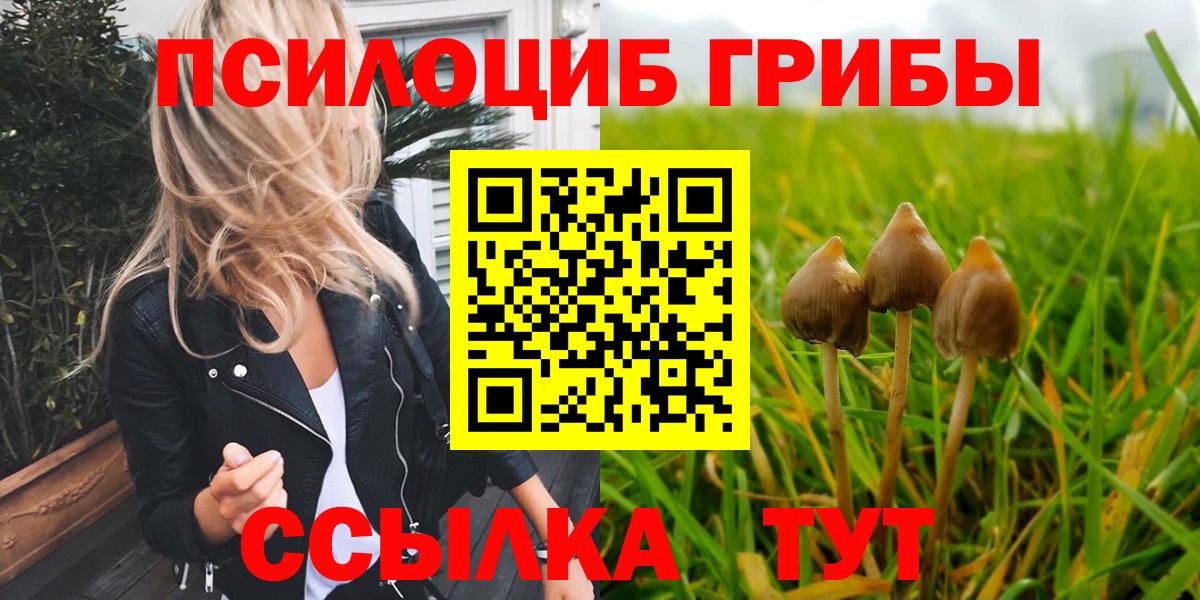 Галлюциногенные грибы ЛСД  Вход с VPN  Истра  Псилоцибиновые грибы мицелий 